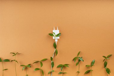 Yeşil yaprakların yaratıcı bileşimi kahverengi arka planda elektrik prizinde filizlenir. Enerjiyi ve ekolojik konsepti sakla. Boşluğu kopyala