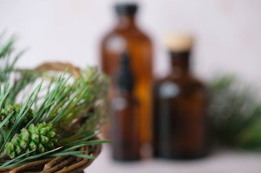 Taze çam dalları, arka planda gerekli yağ şişeleriyle dokuma sepetine yerleştirilmiş. Doğal sağlık uygulamaları var. Alternatif tıp, sağlıklı ve sağlıklı konsept. Yüksek kalite fotoğraf