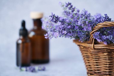 Taze lavanta filizi örülmüş sepetin içinde arkaplanda gerekli yağlar var. Alternatif tıp, organik kozmetik ürünleri ve refah konsepti. Yüksek kalite fotoğraf