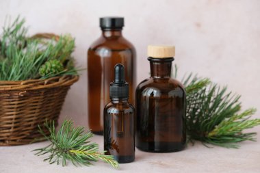 Üç kahverengi cam şişe ustalıkla dizilmiş bir sepet taze çam dalının yanında. Doğal sağlık uygulamaları var. Alternatif tıp, sağlıklı ve sağlıklı konsept. Yüksek kalite fotoğraf