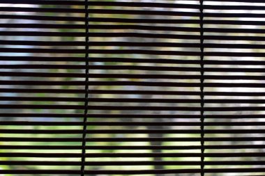 Bambu Kör 'ün içinden bak