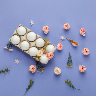 Paskalya tebrik kartı, yumurta tepsisi içinde yumurta, kuş ve gül çiçekli leylak arka plan. Düz konsept, kopyalama alanı olan üst görünüm.