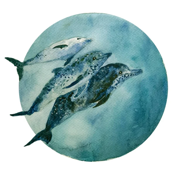 Bottlenose dolphins in blue ocean water watercolor illustration hand drawn drawing, ocean wildlife, ecological concept, save the planet. — Stock Photo, Image
