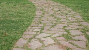 Çimenlerdeki taş yol
