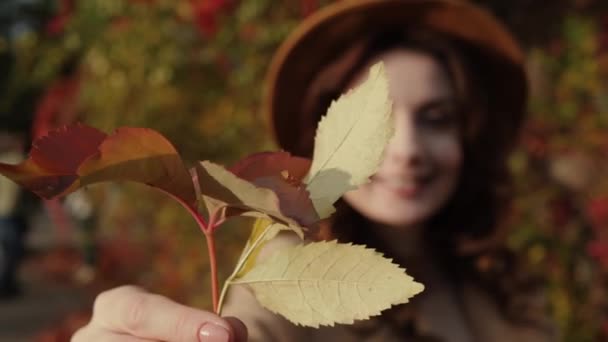 Mujer sosteniendo hojas de otoño — Vídeo de stock