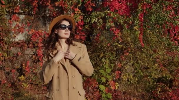 Donna nel cappotto — Video Stock