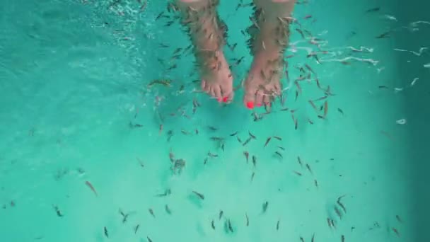 Vrouwelijke voeten in aquarium met vissen — Stockvideo