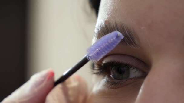 Esthéticienne fait correction des sourcils — Video