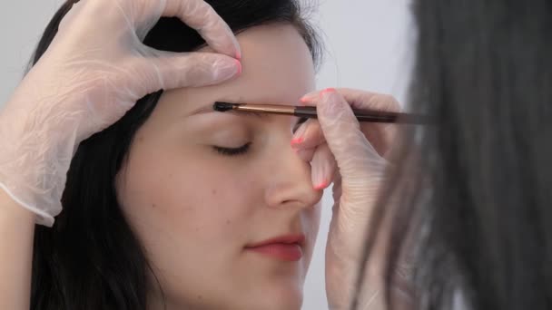 Esteticista hace corrección de cejas — Vídeos de Stock