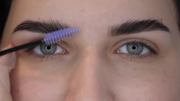 Esthéticienne fait correction des sourcils — Video