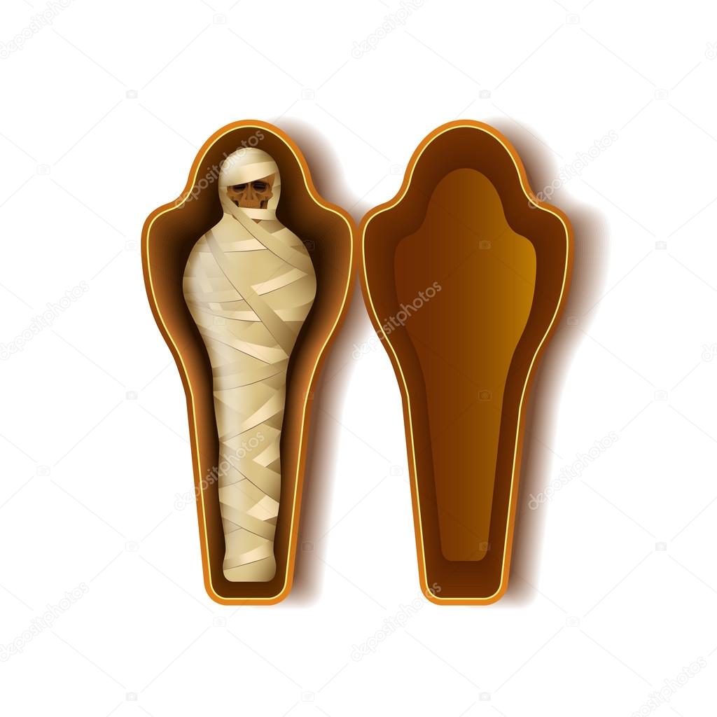 Mummy in sarcophagus isolated on white vector