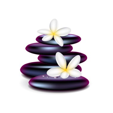 Spa taşlar üzerinde beyaz vektör izole
