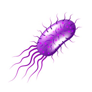 Purple bacteria isolated on white vector clipart