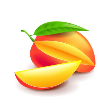 Mango izole üzerinde beyaz vektör
