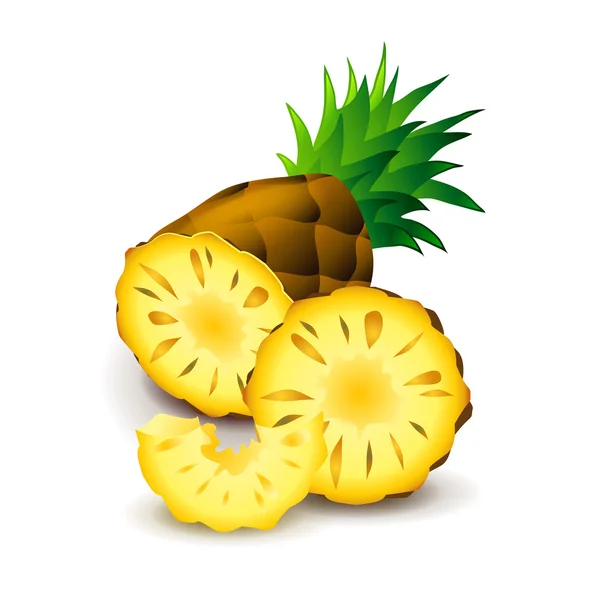 Ananas isolé sur vecteur blanc — Image vectorielle