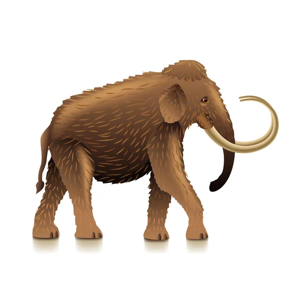 Mamut aislado en vector blanco — Vector de stock