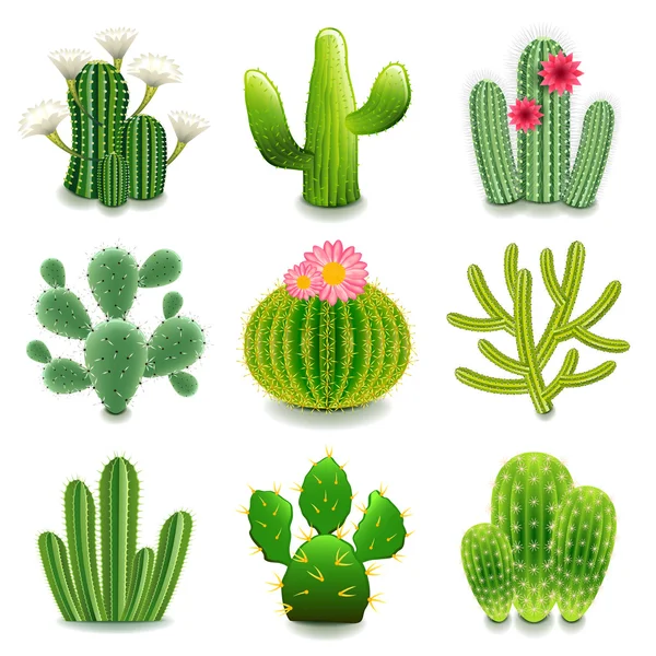 Cactus ikoner vektor set — Stock vektor