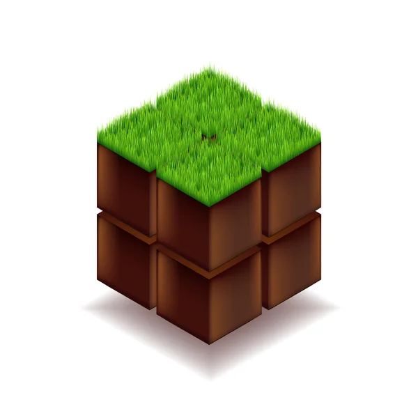 Cube isométrique de terre et d'herbe — Image vectorielle