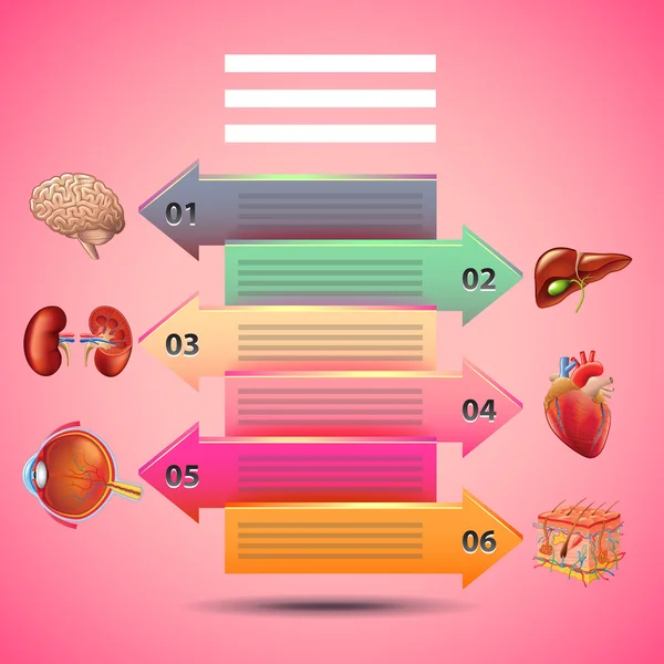 Vetenskap infografik med pilar och mänskliga organ, rosa bakgrund — Stock vektor