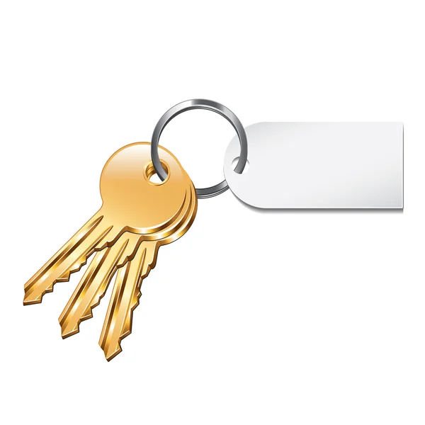 Keys with tag isolated on white vector — Stock Vector