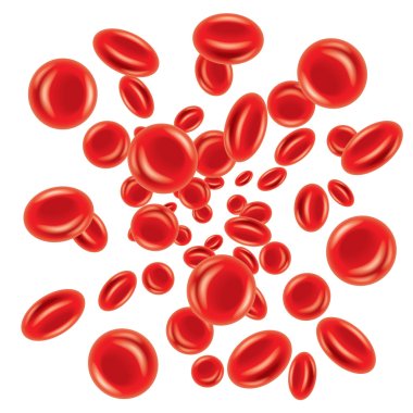 Blood cells isolated on white vector clipart