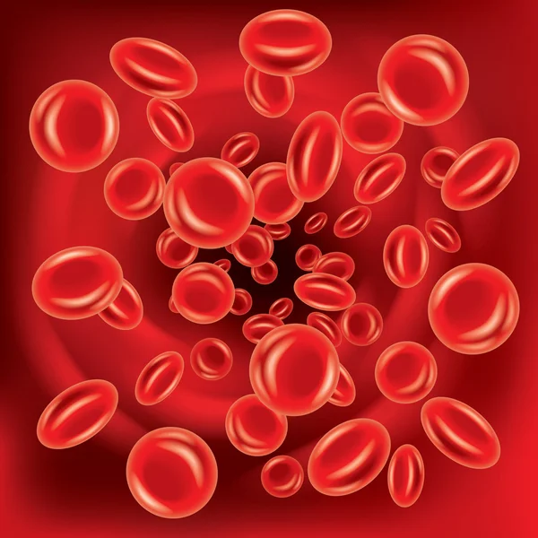 Bloedcellen in de ader vector achtergrond — Stockvector