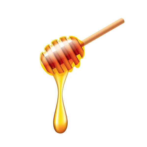 Honey stick with flowing honey isolated vector — Stock Vector