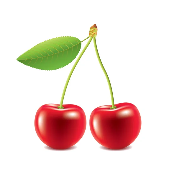 Cherry diisolasi pada vektor putih - Stok Vektor