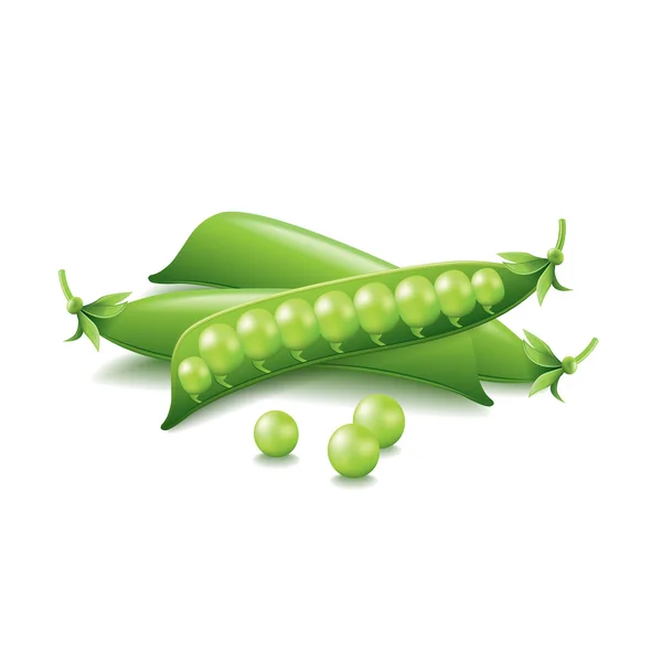 Peas isolated on white vector — Stock Vector