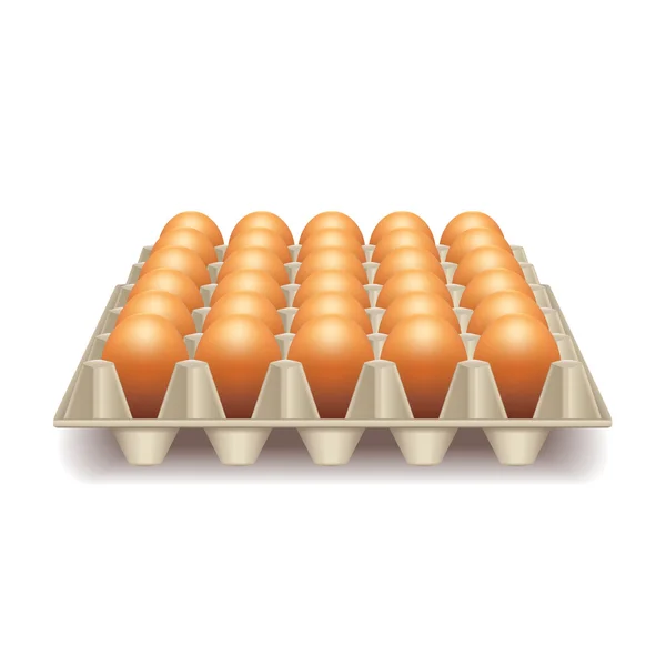 Bandeja com ovos isolados em vetor branco — Vetor de Stock