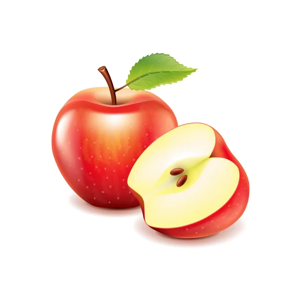 Manzana roja y rebanada aislada en vector blanco — Vector de stock