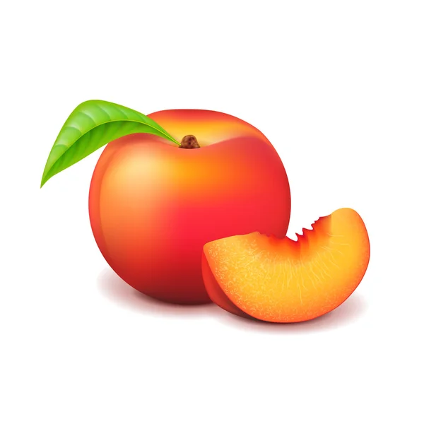 Peach and slice isolated on white vector — Stock Vector