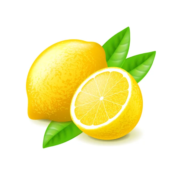 Lemon dan slice diisolasi pada vektor putih - Stok Vektor
