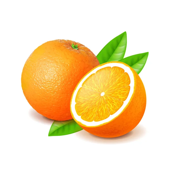 Naranja y rebanada aislados en vector blanco — Archivo Imágenes Vectoriales