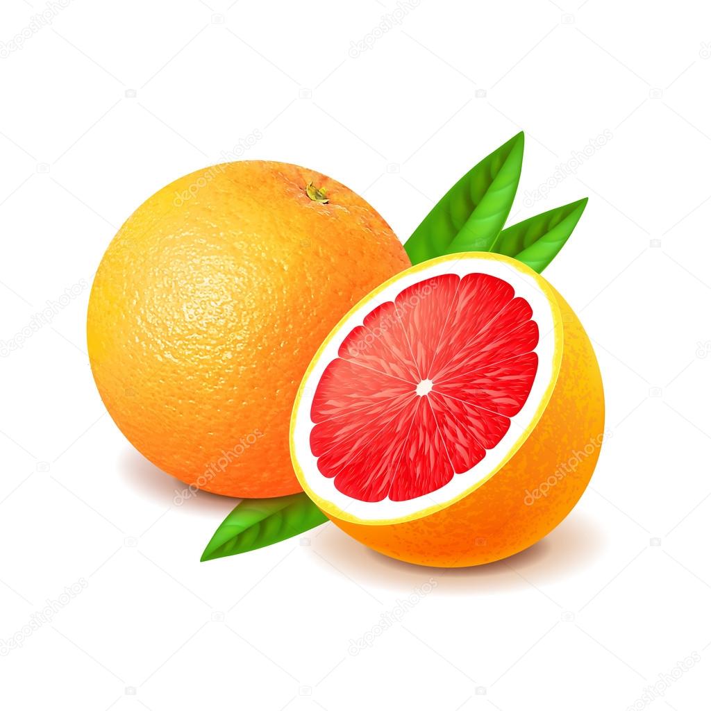 Grapefruit and slice isolated on white vector