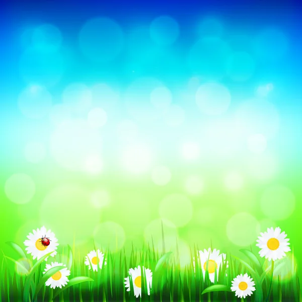 Зеленая трава и голубое небо с вектором цветов — стоковый вектор