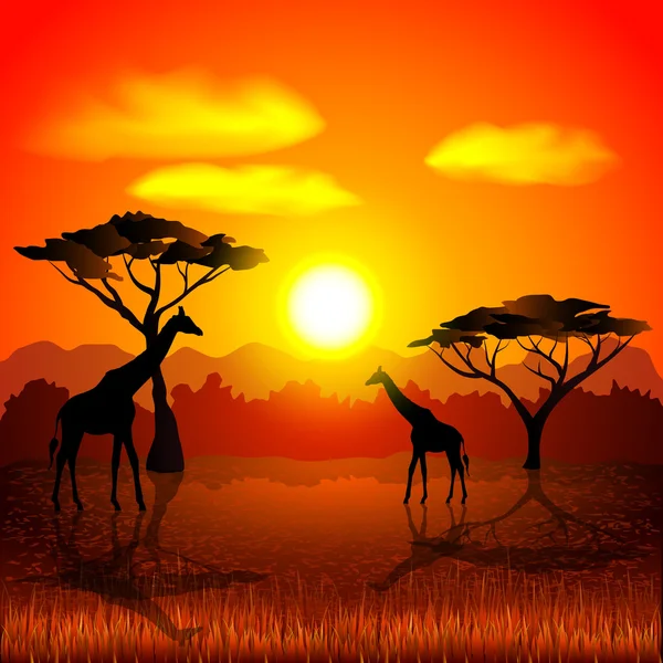 Puesta de sol en el fondo vector de sabana africana — Vector de stock