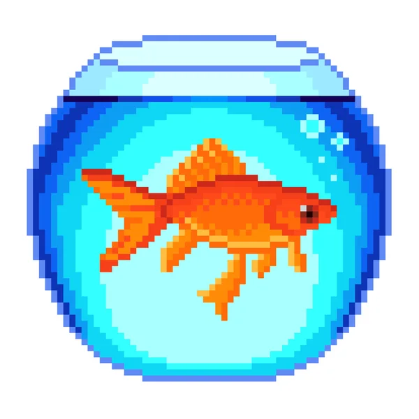 Pixel goldfish in fishbowl isolated vector Royalty Free Stock Vectors