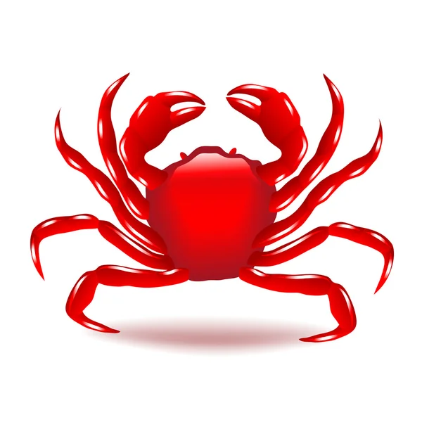 Crab isolated on white vector — Stock Vector