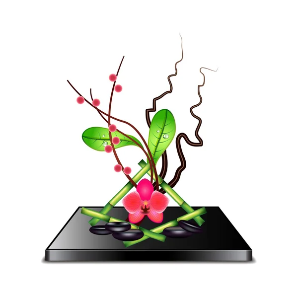 Ikebana elszigetelt fehér vektor — Stock Vector