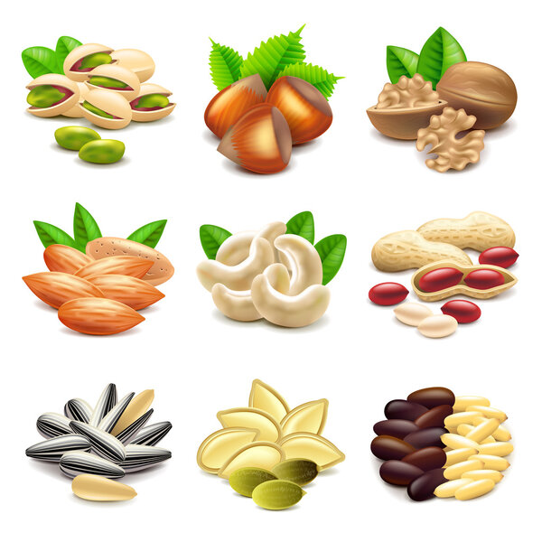 Nuts icons vector set