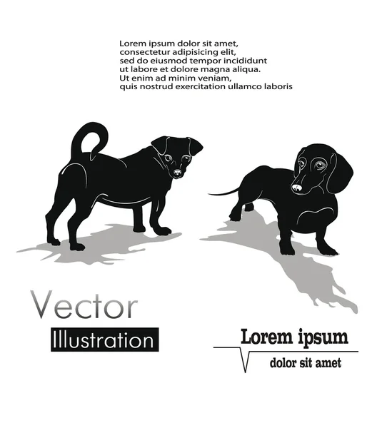 Silhuetter av hundar — Stock vektor