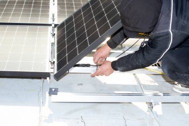 Güneş Koleksiyoncusu, Derleyici, Güneş Kurgusu