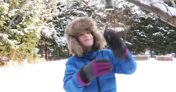 Boy Takes Care Birds Winter Boy Checking Bird Feeder Winter — Stock Video