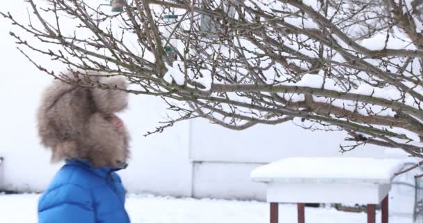 Pendurar Uma Bola Gordura Para Pássaros Inverno Alimentação Aves Inverno — Vídeo de Stock