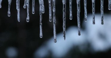 Eriyen Kardan Düşen Damlalar, Buz Sarkıtları, Eriyen Buz Sarkıtları, Eriyen Kardan Düşen Damlalar, Su Damlaları