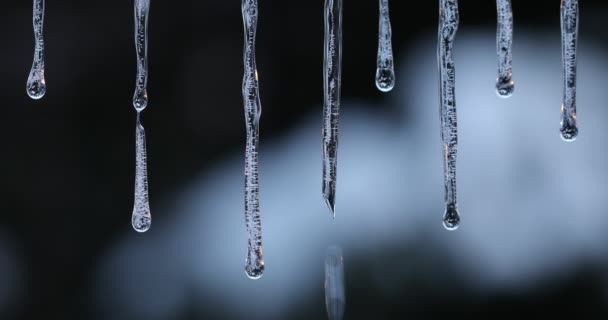 Gouttes Neige Fondante Les Glaçons Fondent Fusion Des Glaçons Gouttes — Video