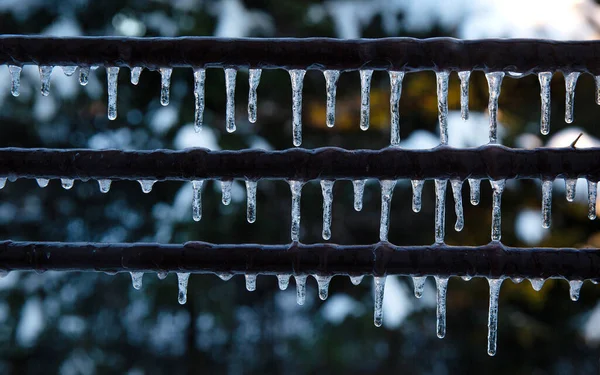 Muchos Pequeños Carámbanos Invierno Icículos Colgando Una Tubería Marrón Agua — Foto de Stock