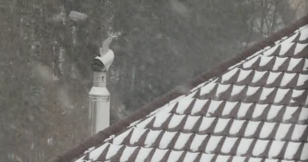 风吹雪 暴雪飘雪 — 图库视频影像