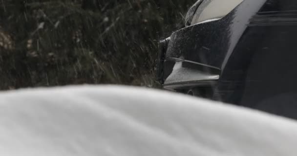 Viento Soplando Nieve Blizzard Nieve Deriva — Vídeo de stock